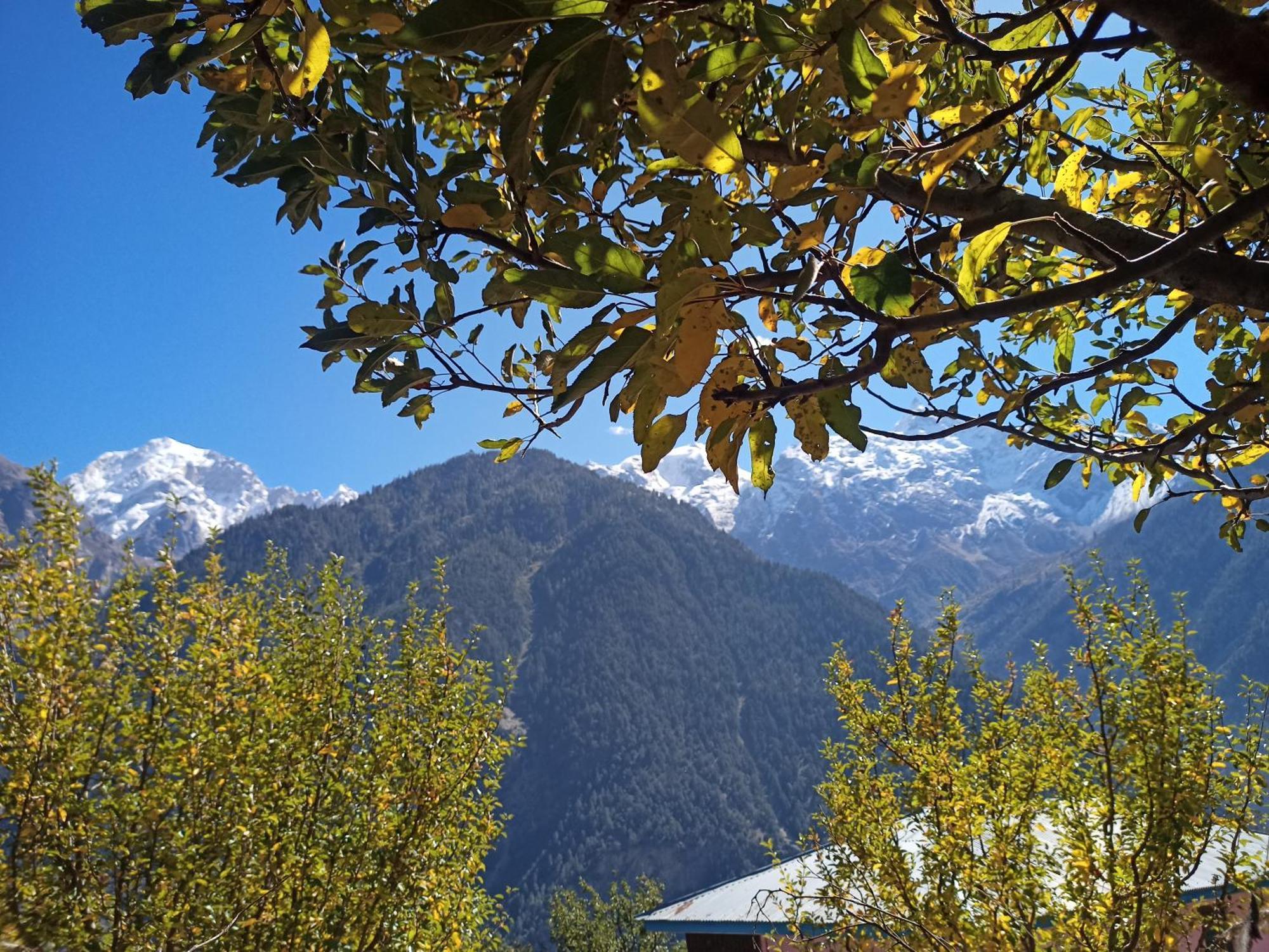 The Shudarang Inn Kalpa Exterior photo